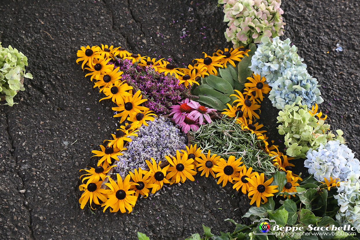 VBS_9712 - Infiorata di Villanova d'Asti 2023.jpg